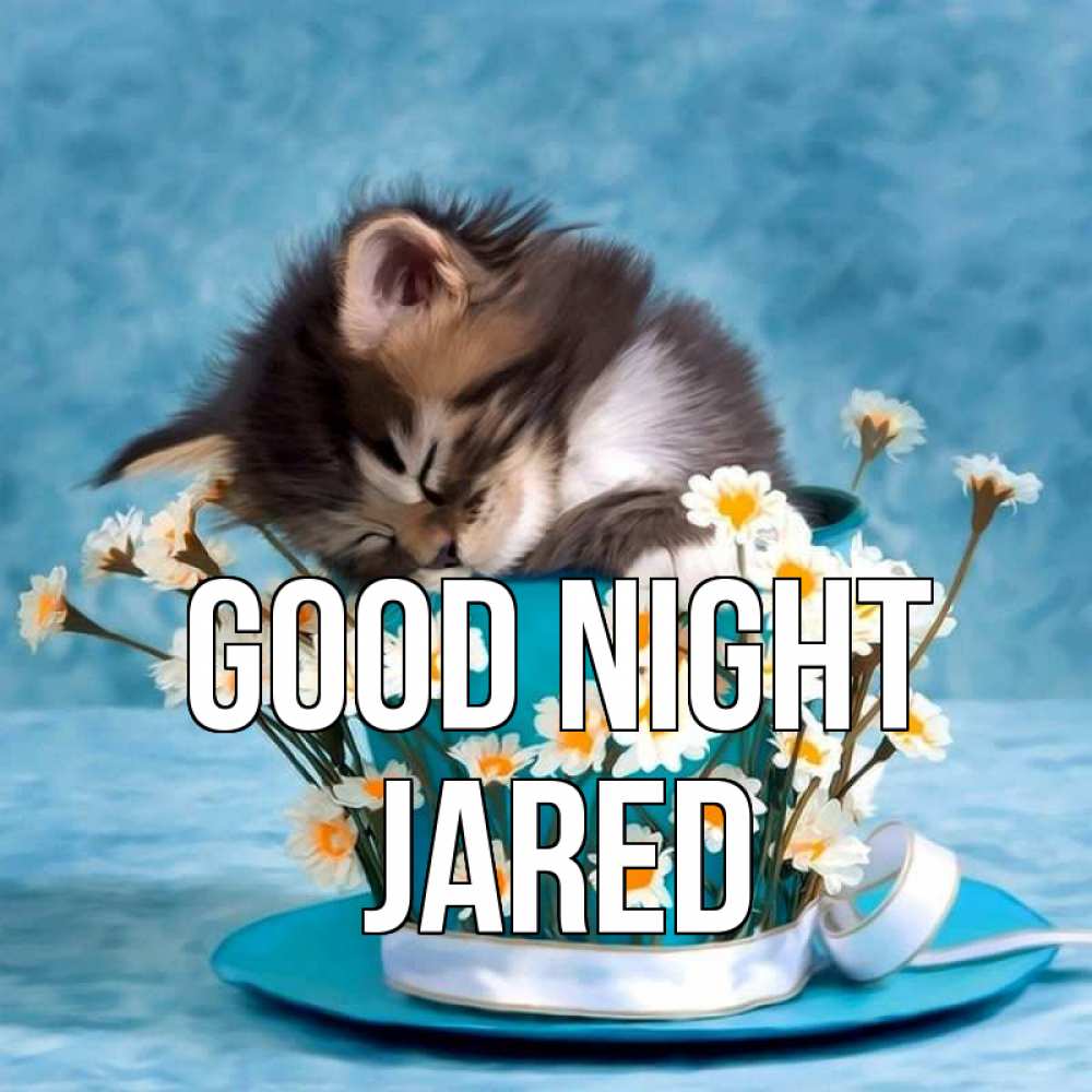 Greetings card с именем, Jared Good night котенок спит в кружке с блюдцем Greetings with text for free download 