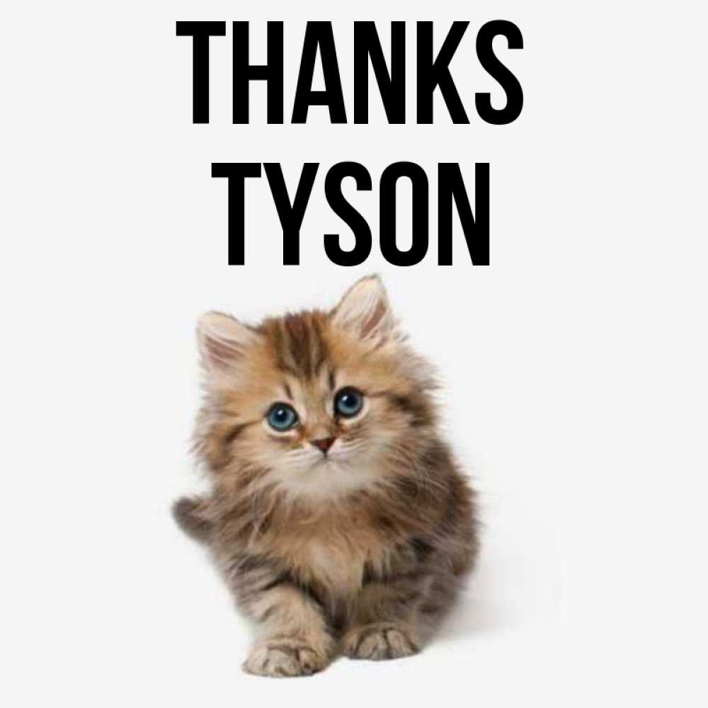 Greetings card с именем, Tyson Thanks пушистый котик Greetings with text for free download 