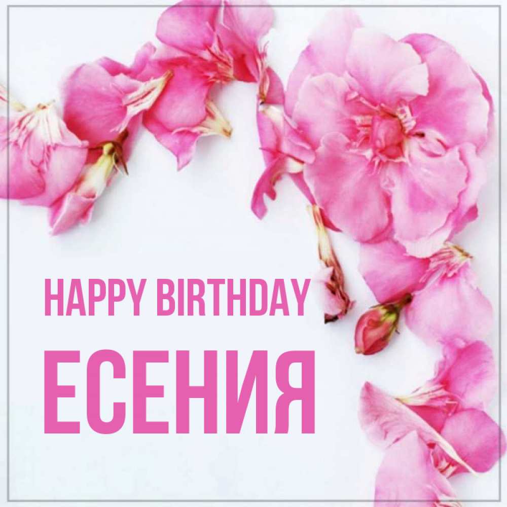 Greetings card с именем, Есения Happy Birthday Красивая открытка для поздравления с днем рождения Greetings with text for free download 