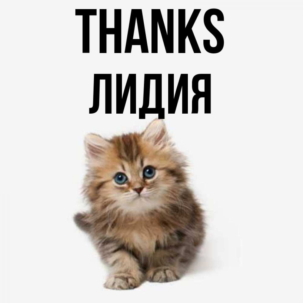 Greetings card с именем, Лидия Thanks пушистый котик Greetings with text for free download 