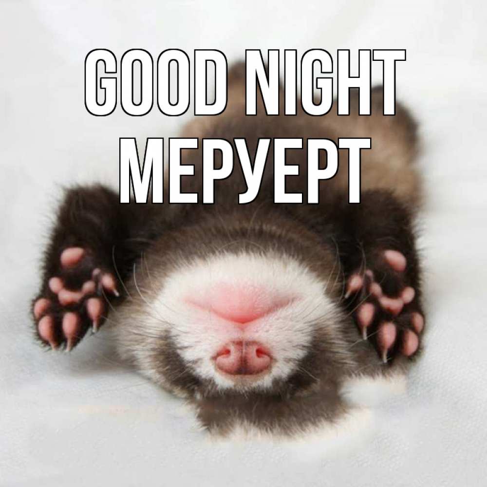 Greetings card с именем, МЕРУЕРТ Good night зверек Greetings with text for free download 