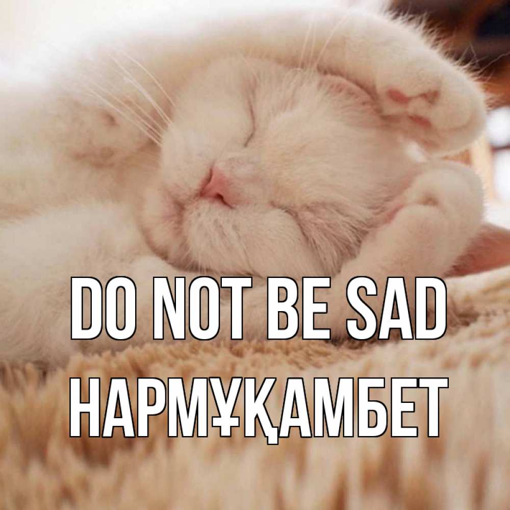 Greetings card с именем, НАРМҰҚАМБЕТ Do not be sad белый кот Greetings with text for free download 