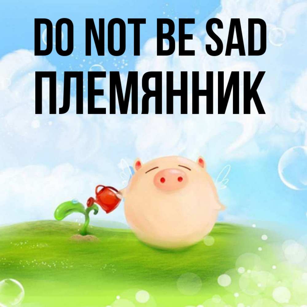 Greetings card с именем, Племянник Do not be sad поливает цветок порося Greetings with text for free download 