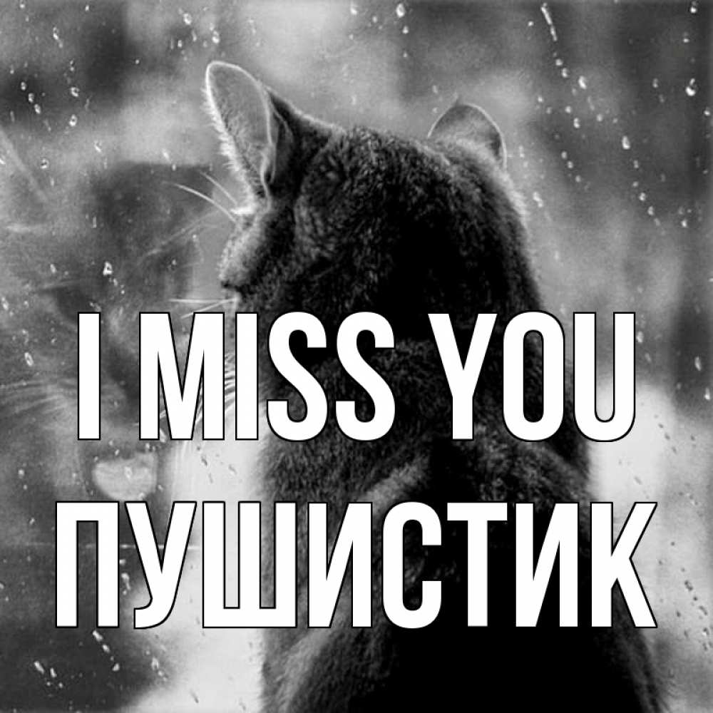 Greetings card с именем, Пушистик I miss you скорее ко мне приходи 1 Greetings with text for free download 