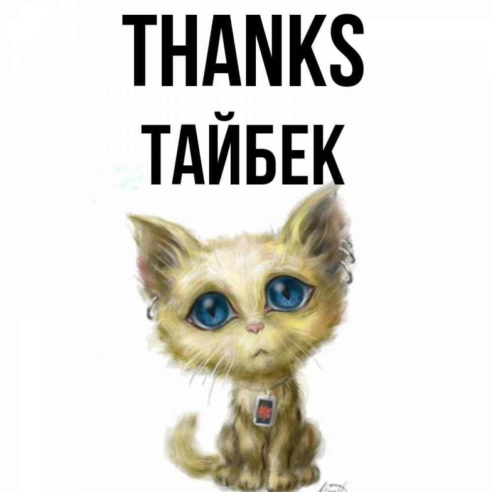 Greetings card с именем, ТАЙБЕК Thanks рисованный кот благодарит вас Greetings with text for free download 