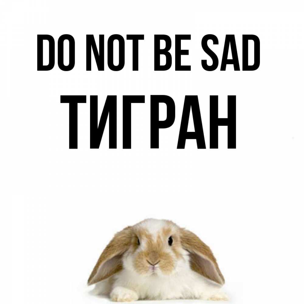 Greetings card с именем, Тигран Do not be sad коричнево белый заяц с большими ушками Greetings with text for free download 
