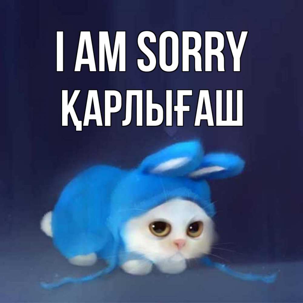 Greetings card с именем, ҚАРЛЫҒАШ I am sorry невинный котозай просит прощения Greetings with text for free download 