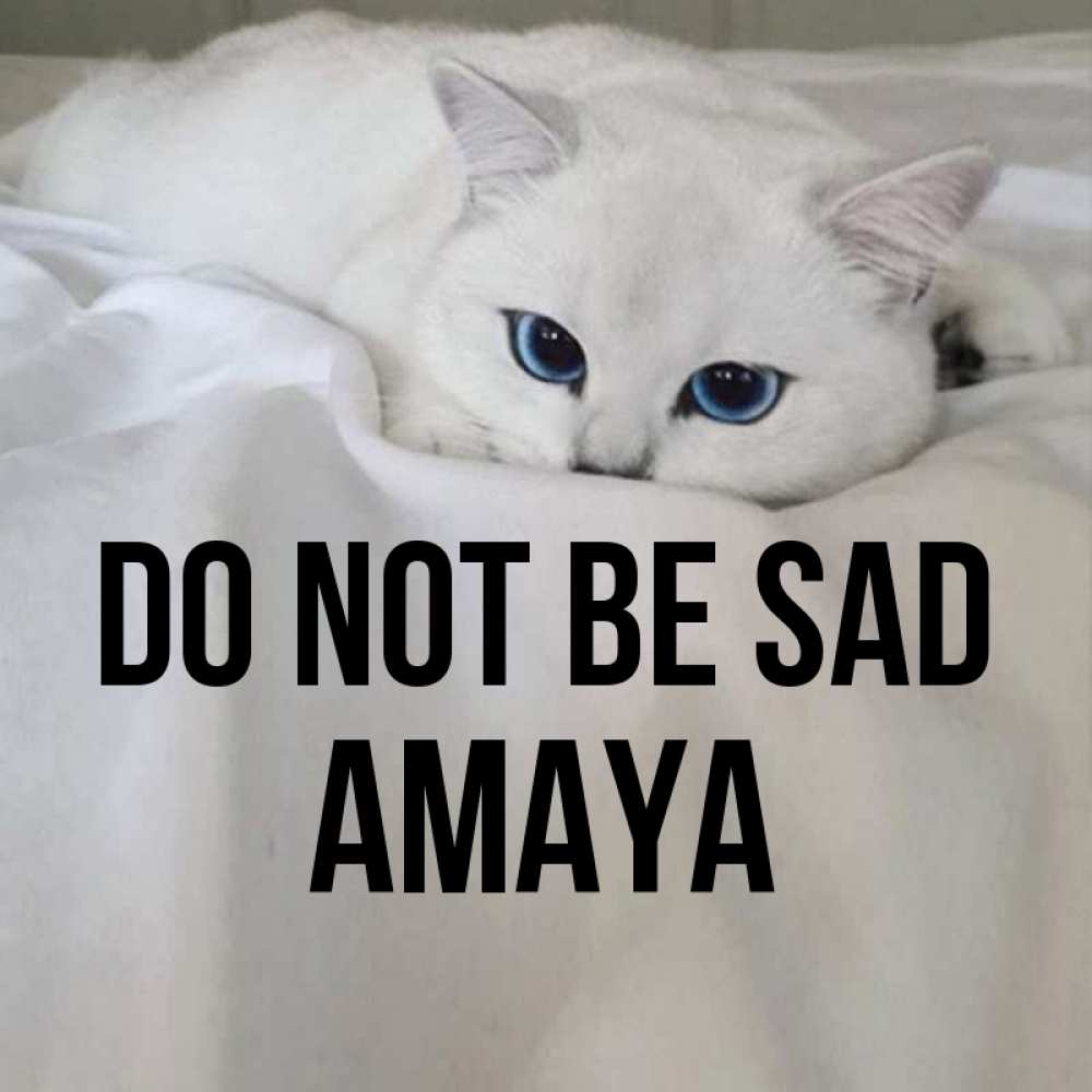 Greetings card с именем, Amaya Do not be sad Голубоглазая кошка Greetings with text for free download 