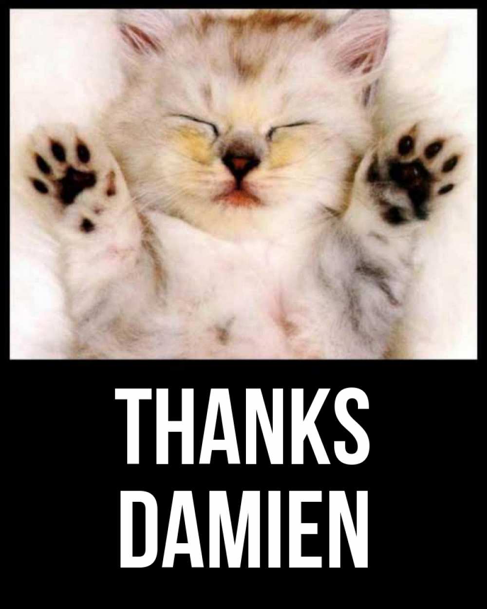 Greetings card с именем, Damien Thanks маленький котенок Greetings with text for free download 