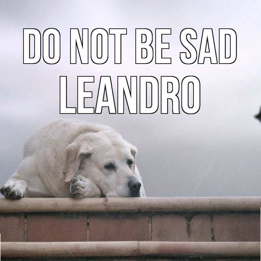 Greetings card с именем, Leandro Do not be sad белый пес 1 Greetings with text for free download 