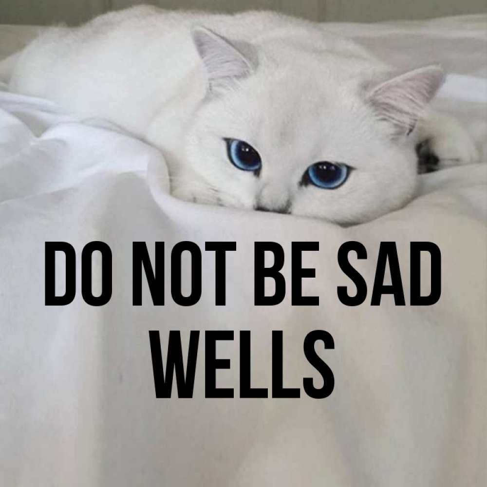 Greetings card с именем, Wells Do not be sad Голубоглазая кошка Greetings with text for free download 