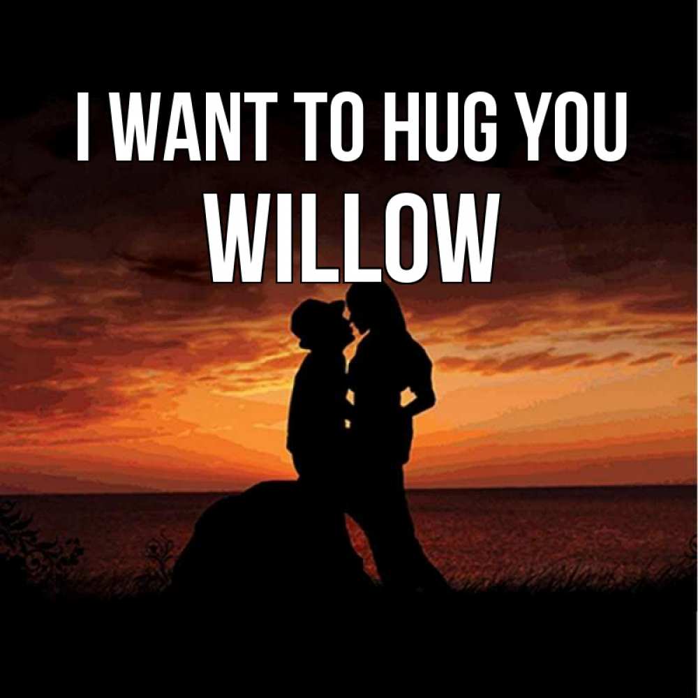Greetings card с именем, Willow I want to hug you парень и девушка и оранжевое небо Greetings with text for free download 
