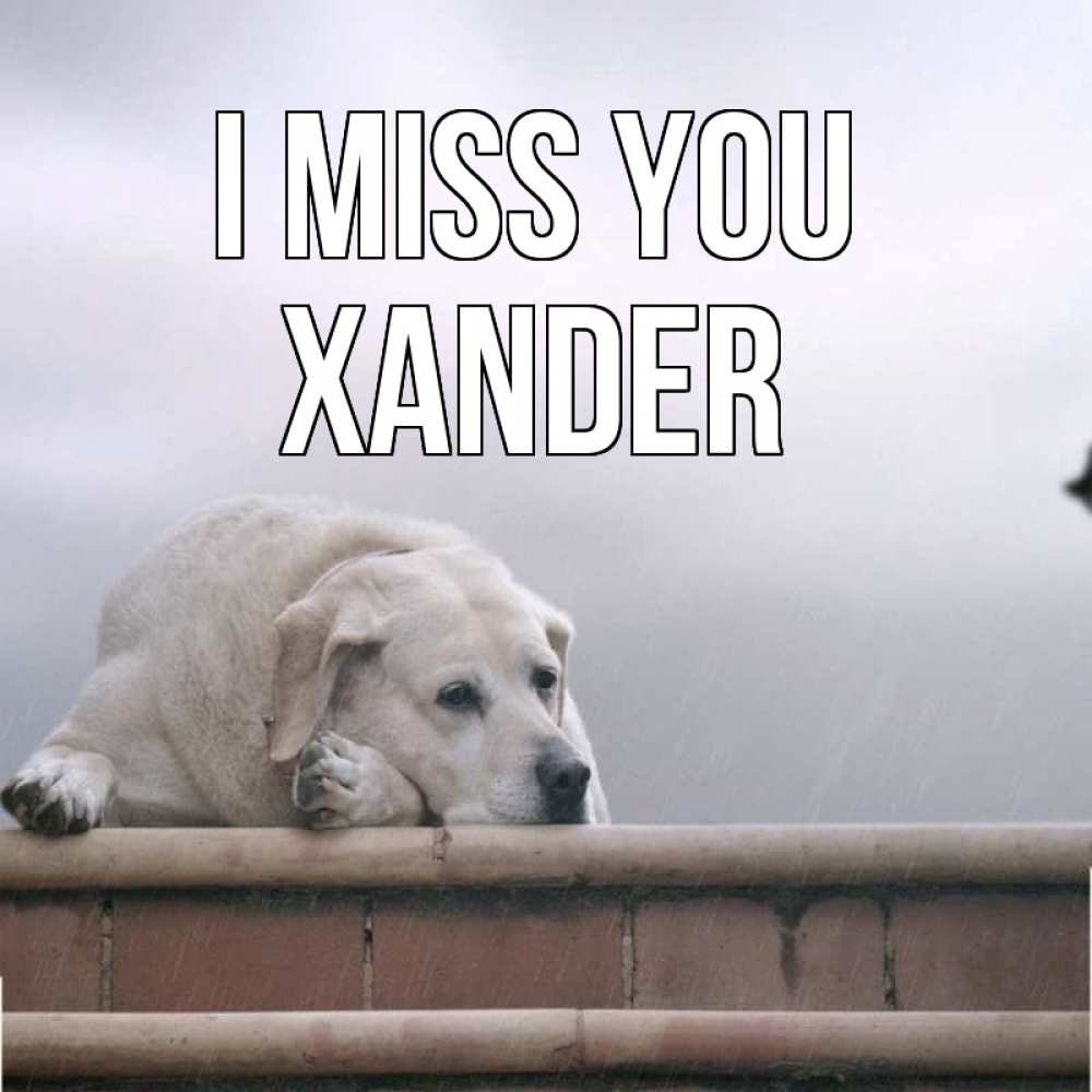 Greetings card с именем, Xander I miss you ждет Greetings with text for free download 