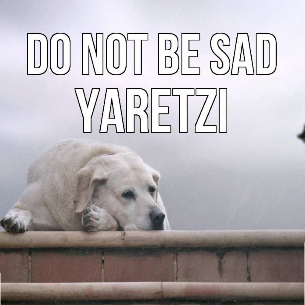 Greetings card с именем, Yaretzi Do not be sad белый пес 1 Greetings with text for free download 