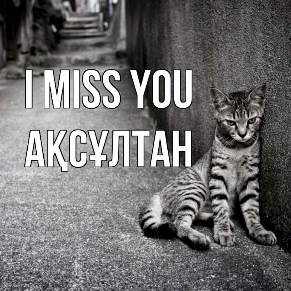 Greetings card с именем, Ақсұлтан I miss you одиноко котику Greetings with text for free download 