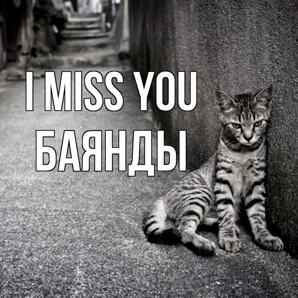 Greetings card с именем, Баянды I miss you одиноко котику Greetings with text for free download 
