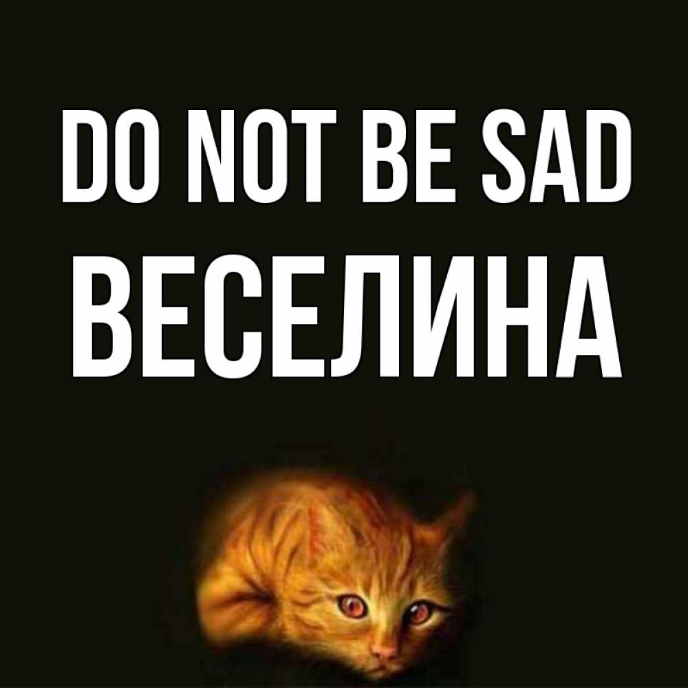 Greetings card с именем, Веселина Do not be sad лежащий кот в темноте Greetings with text for free download 