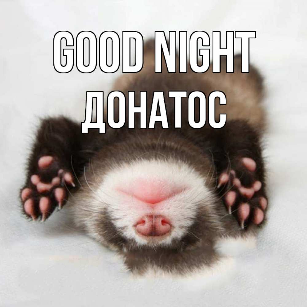 Greetings card с именем, Донатос Good night зверек Greetings with text for free download 