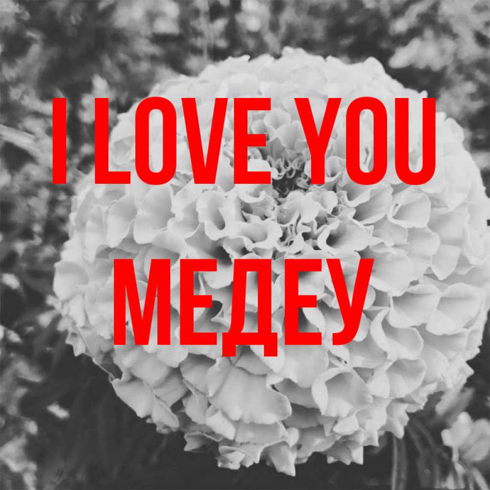 Greetings card с именем, МЕДЕУ I love you подпись Greetings with text for free download 