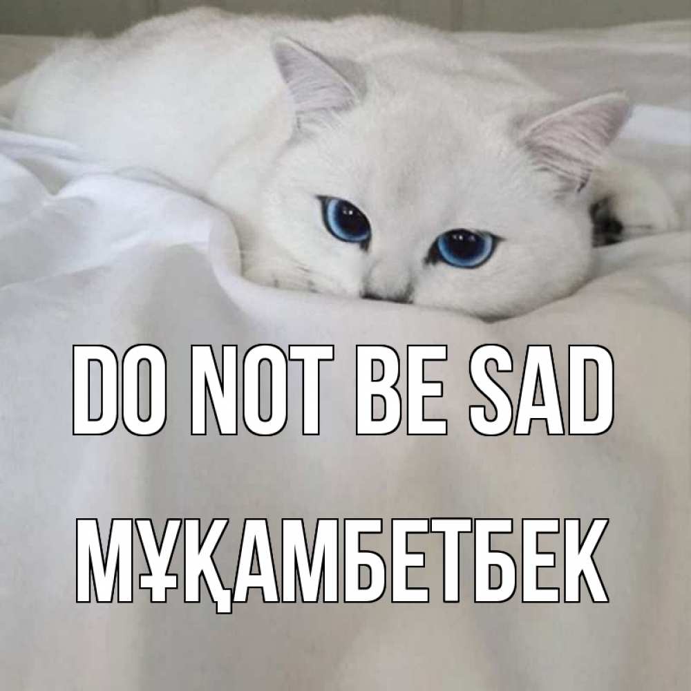 Greetings card с именем, Мұқамбетбек Do not be sad белый кот с голубыми глазами на белоснежной кровати Greetings with text for free download 