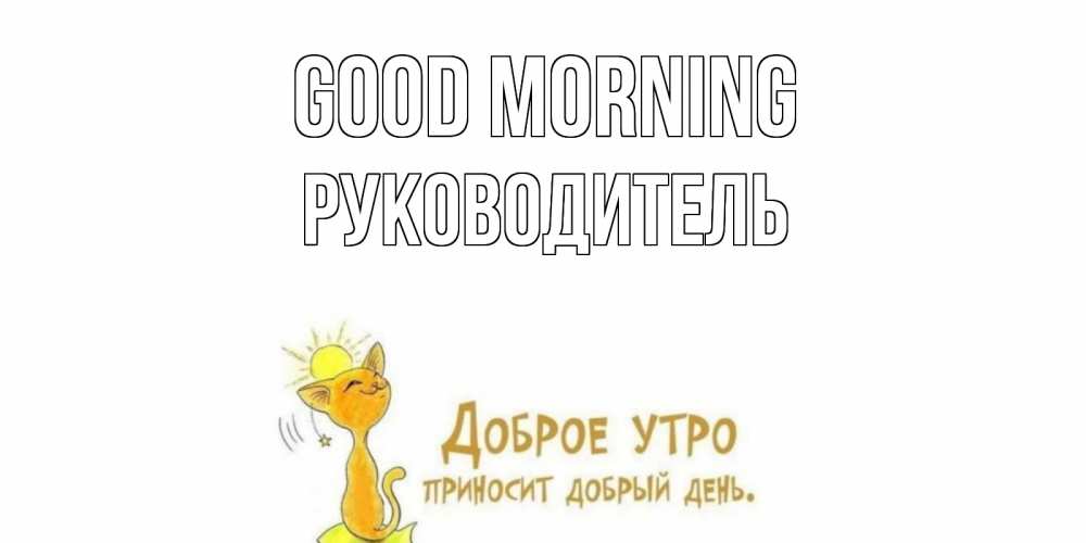 Greetings card с именем, Руководитель Good morning кот, солнце Greetings with text for free download 
