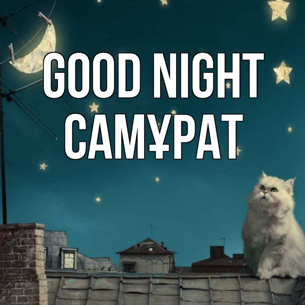 Greetings card с именем, САМҰРАТ Good night белый кот сидит на крыше Greetings with text for free download 