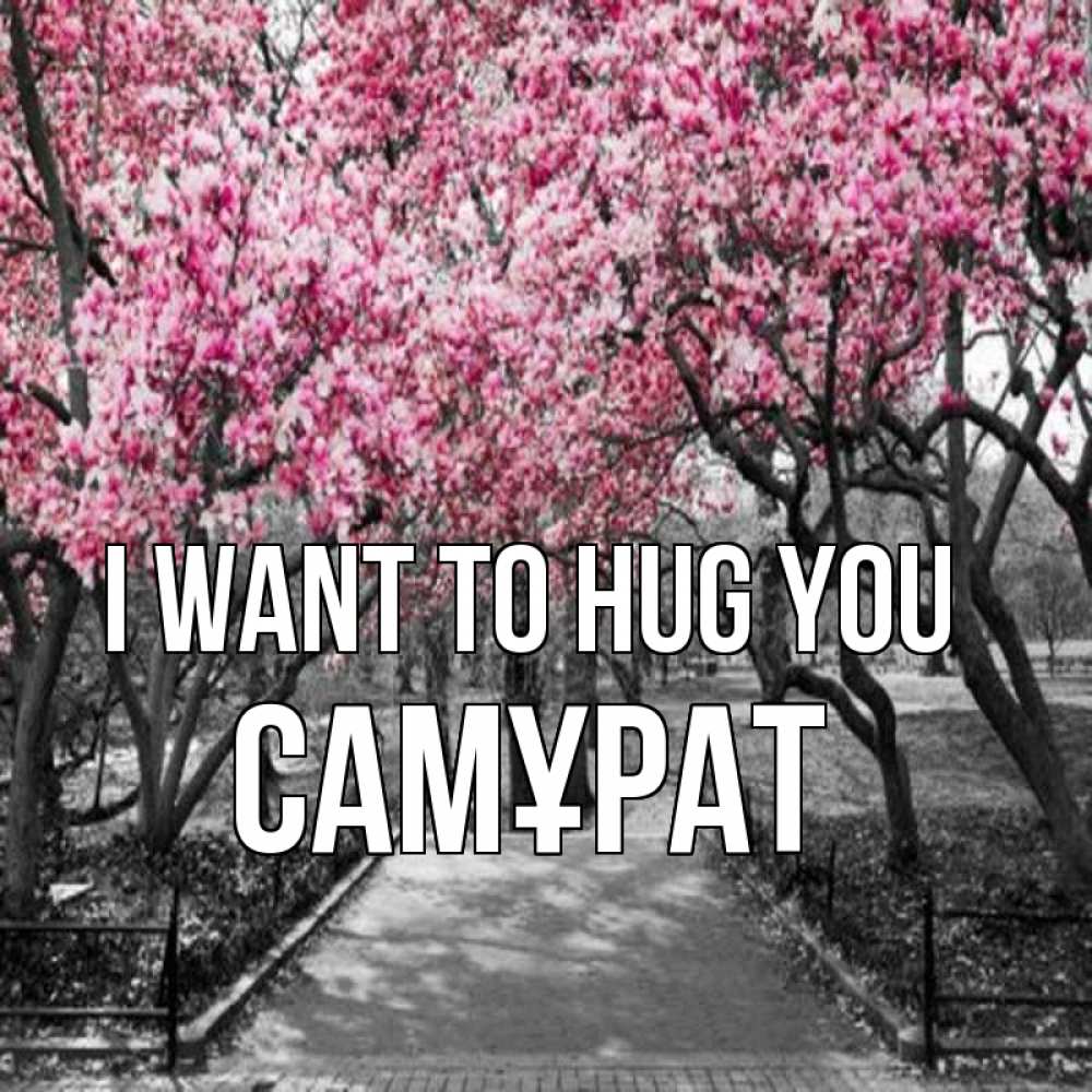 Greetings card с именем, САМҰРАТ I want to hug you обработанное фото Greetings with text for free download 