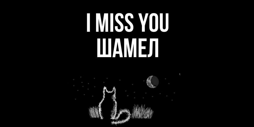Greetings card с именем, ШАМЕЛ I miss you кот Greetings with text for free download 