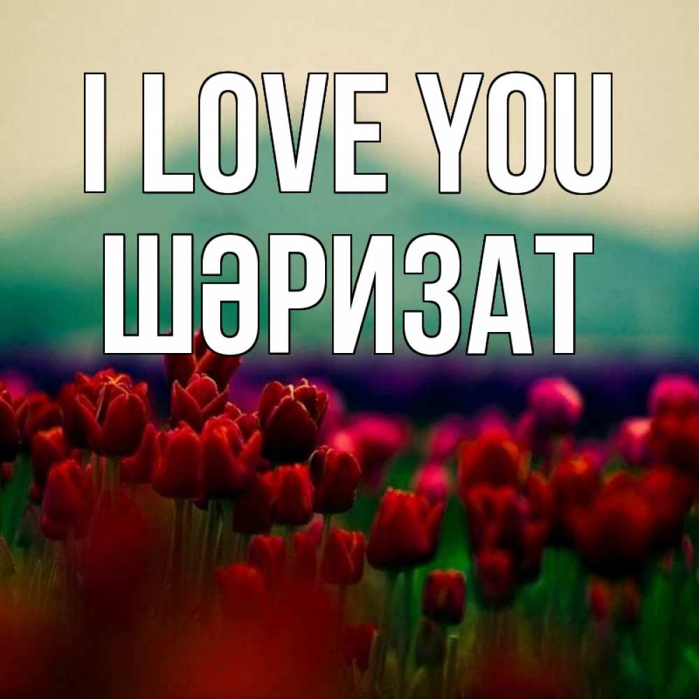 Greetings card с именем, ШӘРИЗАТ I love you тюльпаны 4 Greetings with text for free download 