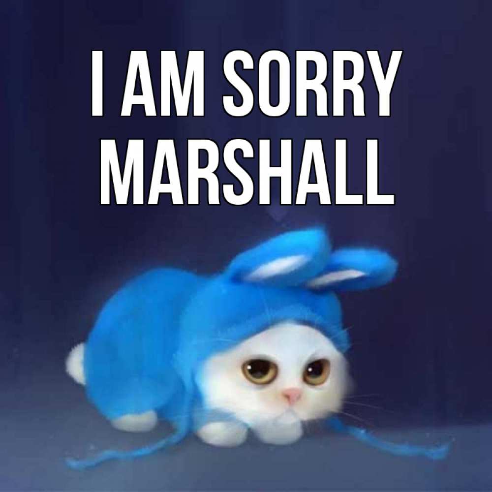 Greetings card с именем, Marshall I am sorry невинный котозай просит прощения Greetings with text for free download 