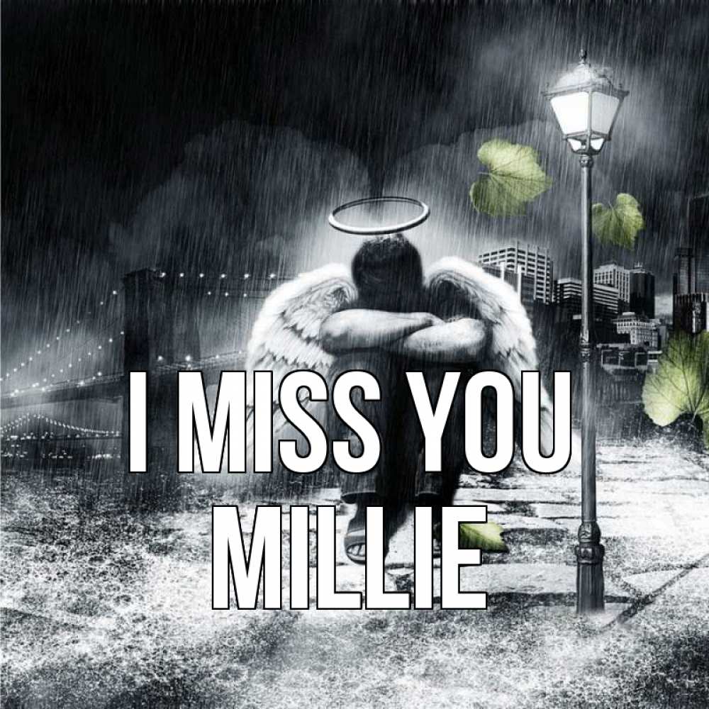Greetings card с именем, Millie I miss you на улице Greetings with text for free download 