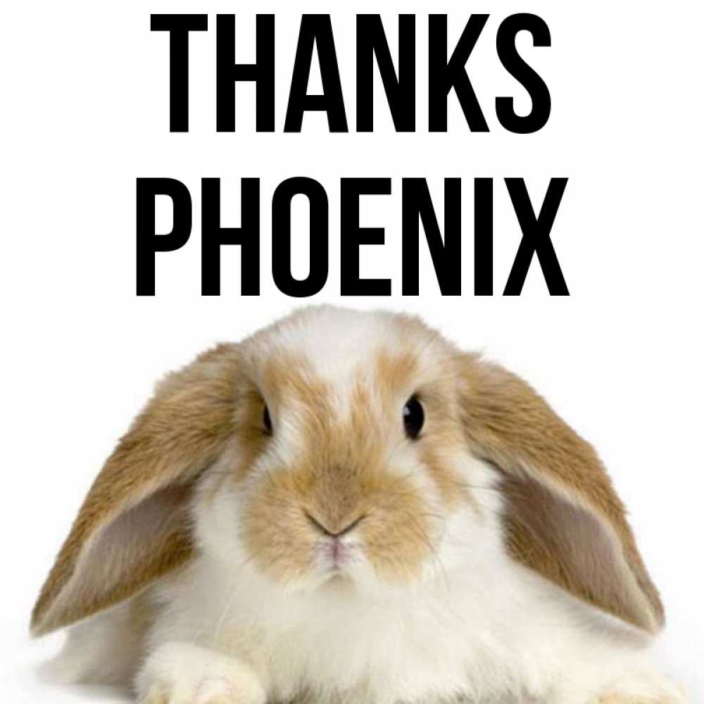 Greetings card с именем, Phoenix Thanks коричнево белый заяц Greetings with text for free download 