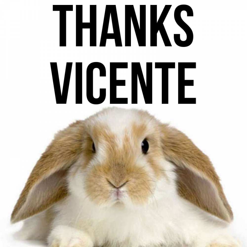 Greetings card с именем, Vicente Thanks коричнево белый заяц Greetings with text for free download 