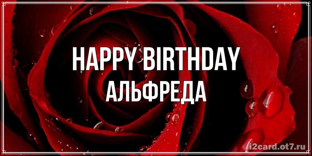 Greetings card с именем, Альфреда Happy Birthday крупная бордовая роза Greetings with text for free download 