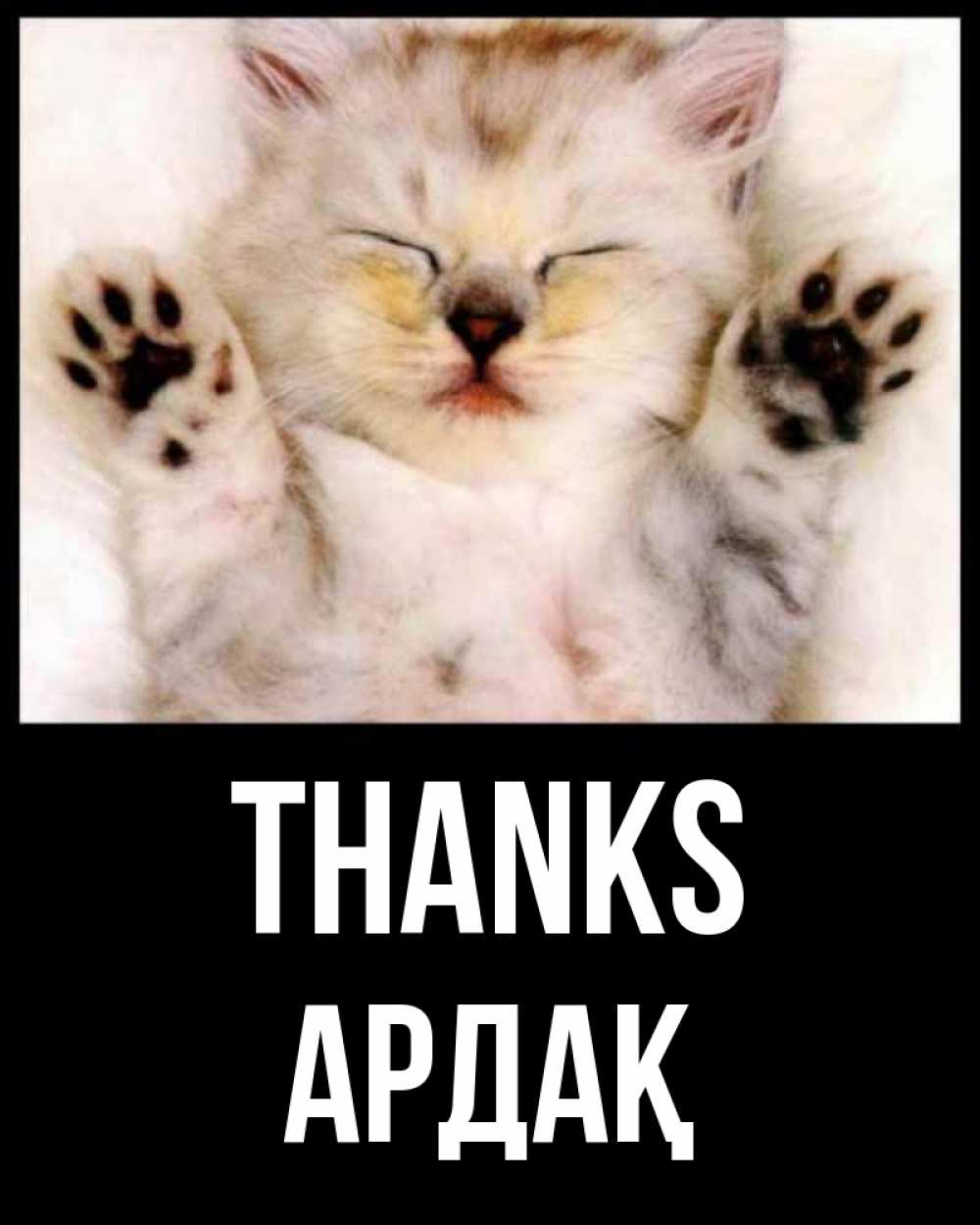 Greetings card с именем, Ардақ Thanks маленький котенок Greetings with text for free download 