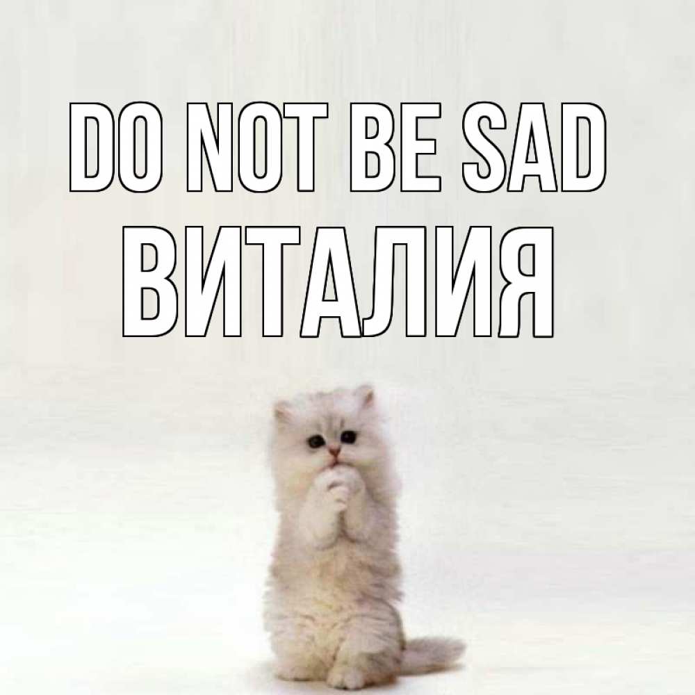 Greetings card с именем, Виталия Do not be sad грустный кот Greetings with text for free download 