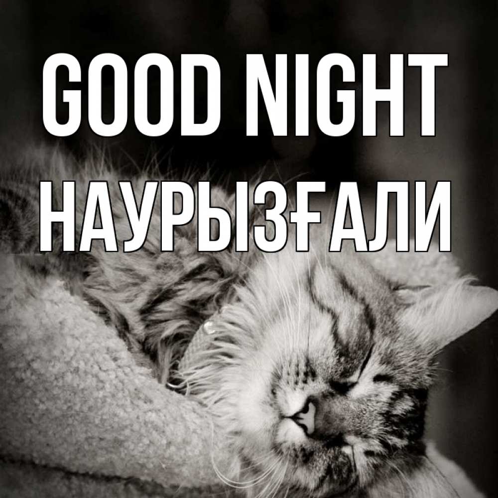 Greetings card с именем, Наурызғали Good night котярик пушистый Greetings with text for free download 