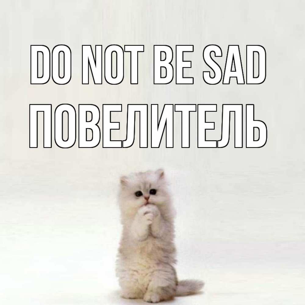 Greetings card с именем, Повелитель Do not be sad грустный кот Greetings with text for free download 