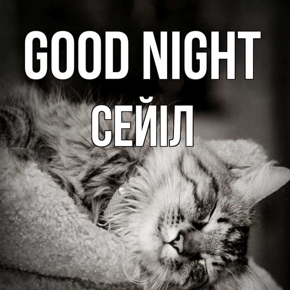 Greetings card с именем, СЕЙІЛ Good night котярик пушистый Greetings with text for free download 