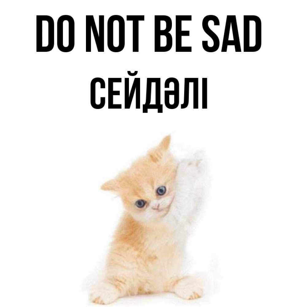 Greetings card с именем, СЕЙДӘЛІ Do not be sad просящий кот Greetings with text for free download 