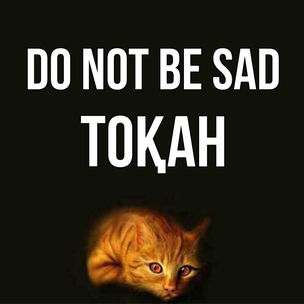 Greetings card с именем, ТОҚАН Do not be sad лежащий кот в темноте Greetings with text for free download 
