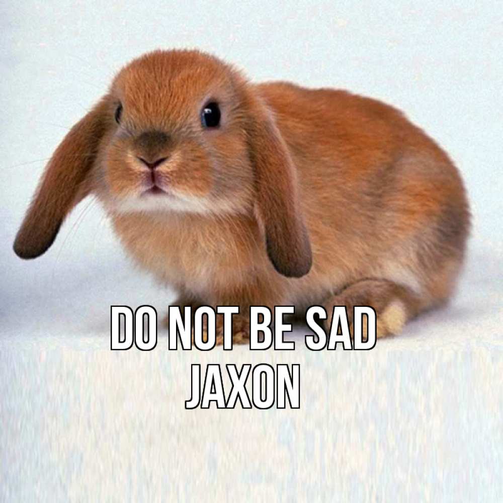 Greetings card с именем, Jaxon Do not be sad вислоухий рыжий кролик Greetings with text for free download 