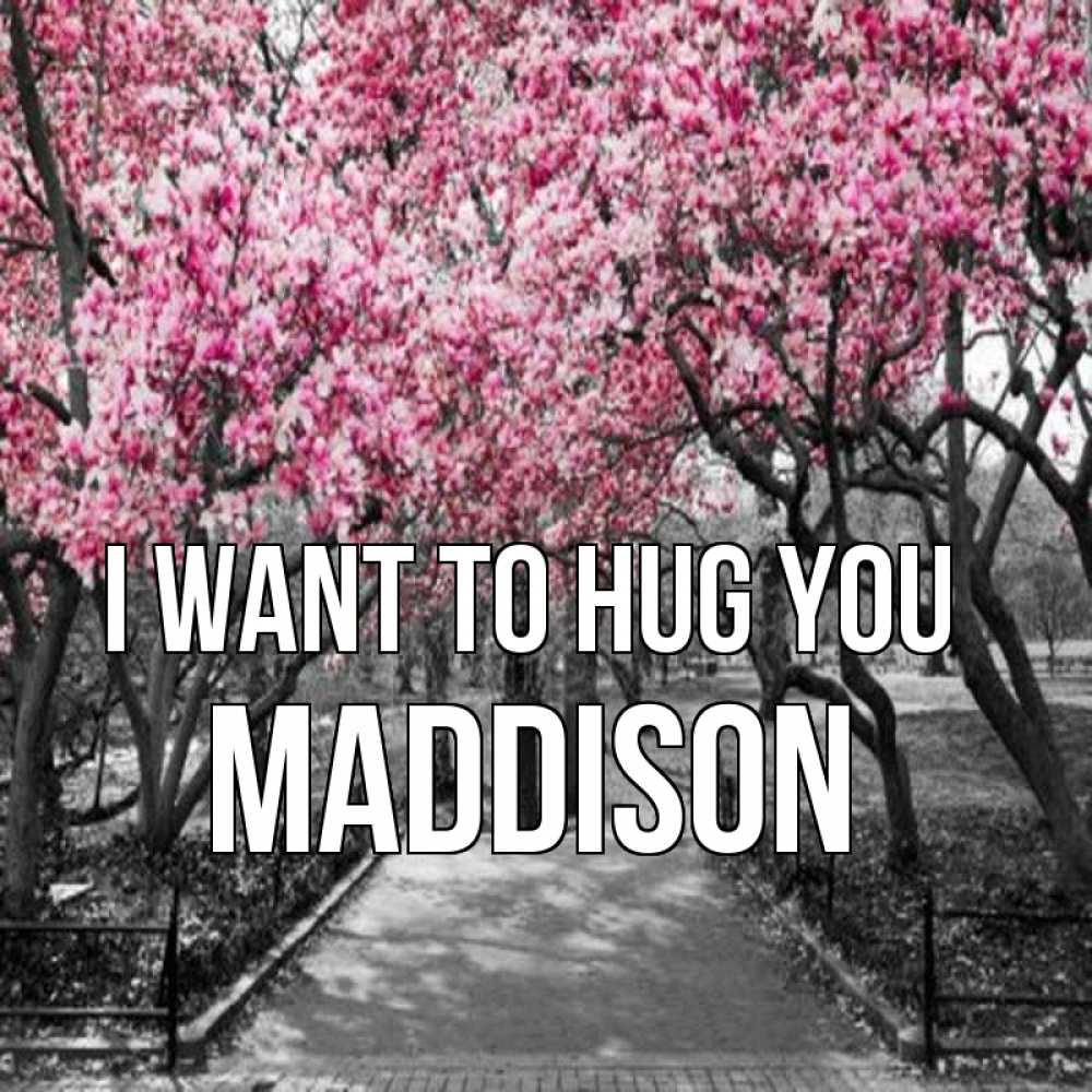 Greetings card с именем, Maddison I want to hug you обработанное фото Greetings with text for free download 