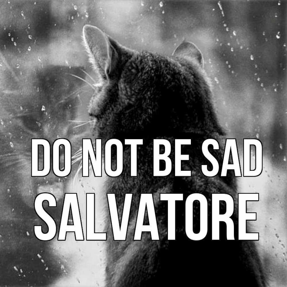 Greetings card с именем, Salvatore Do not be sad отражение кота 1 Greetings with text for free download 