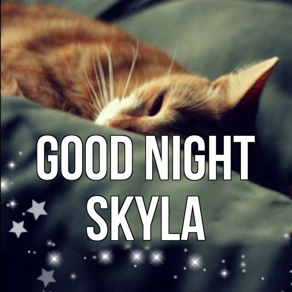 Greetings card с именем, Skyla Good night кроватка Greetings with text for free download 