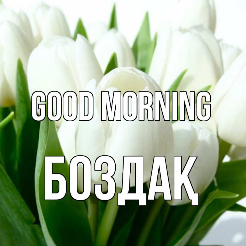 Greetings card с именем, Боздақ Good morning открытки на каждый день по именам Greetings with text for free download 