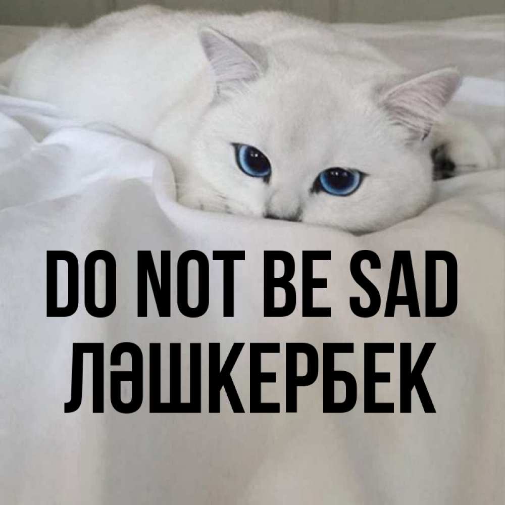 Greetings card с именем, ЛӘШКЕРБЕК Do not be sad Голубоглазая кошка Greetings with text for free download 
