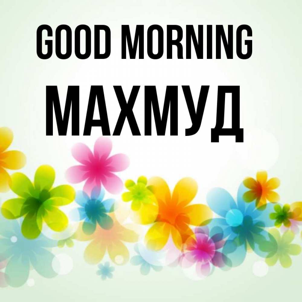 Greetings card с именем, Махмуд Good morning позитивные цветочки Greetings with text for free download 