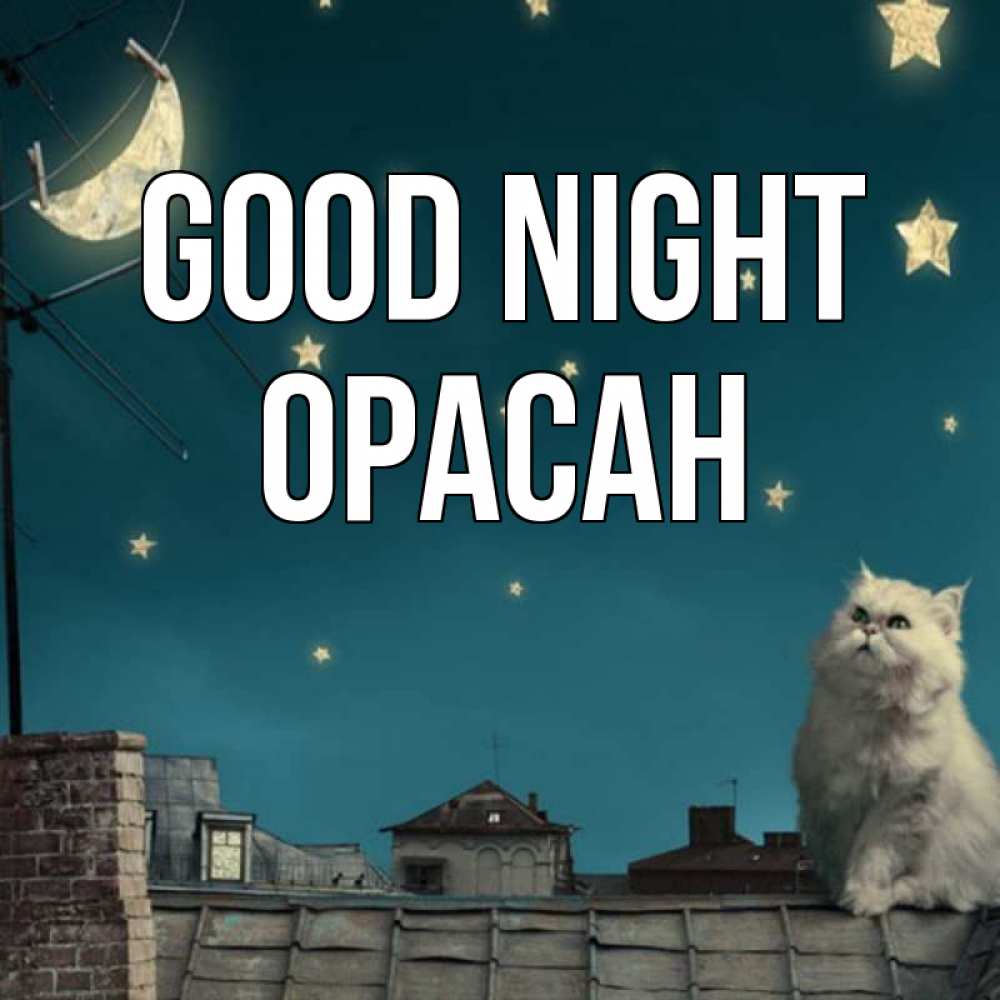 Greetings card с именем, ОРАСАН Good night белый кот сидит на крыше Greetings with text for free download 