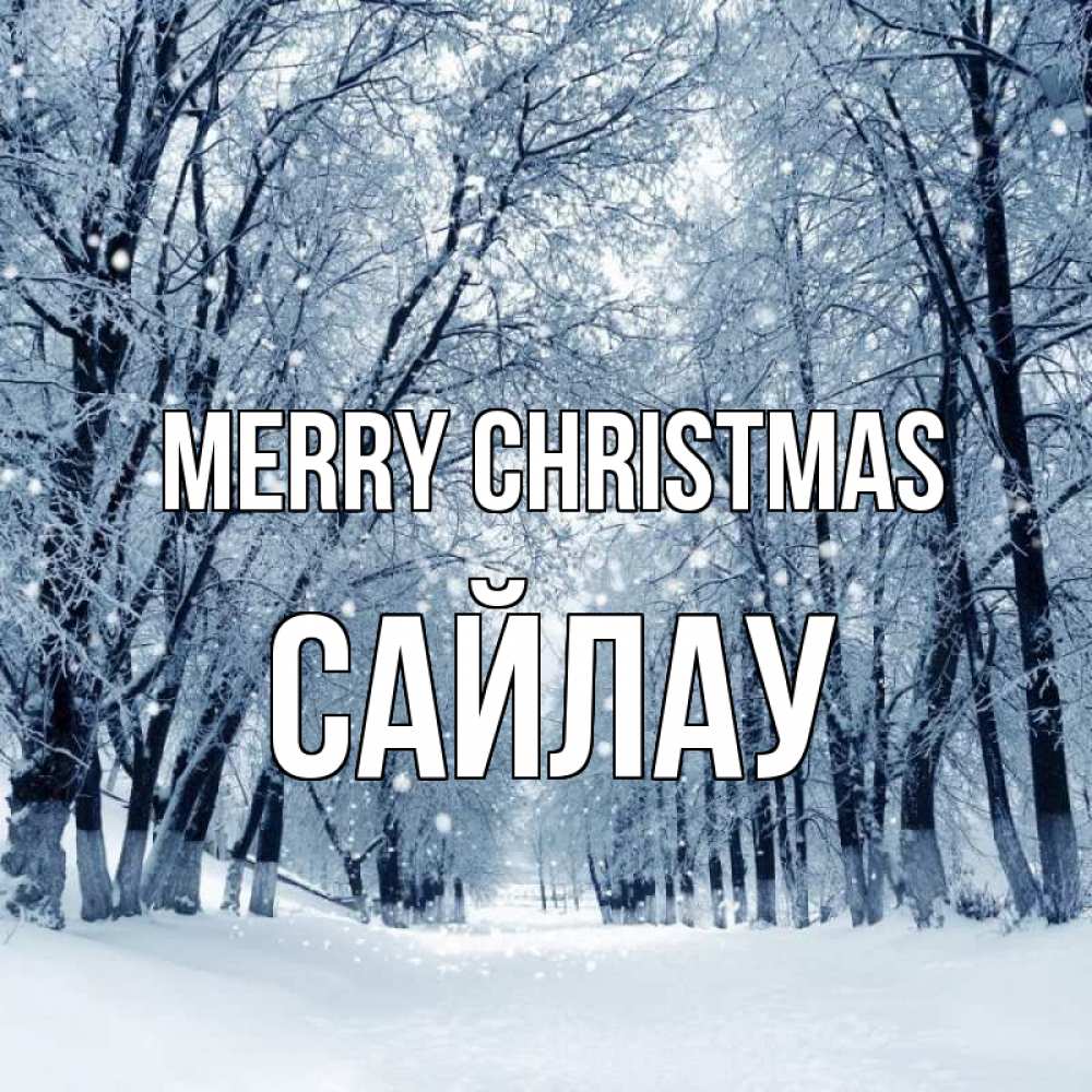 Greetings card с именем, САЙЛАУ Merry Christmas снег, лес, парк Greetings with text for free download 